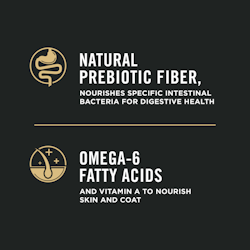 natural prebiotic fiber