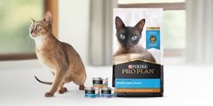 pro plan cat sitting next to a urinary tract product package