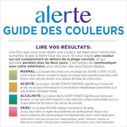 Guide des couleurs