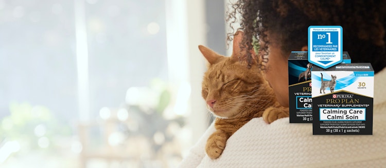 woman and sleepy cat