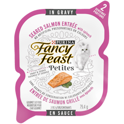 Fancy Feastᴹᴰ Petites Entrée de Saumon Grillé avec Épinards en Sauce Nourriture pour Chat Gourmet