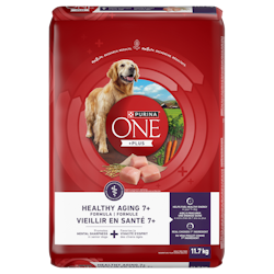 Purinaᴹᴰ ONEᴹᴰ +Plus Formule Vieillir en Santé 7+ Nourriture pour Chiens Adultes