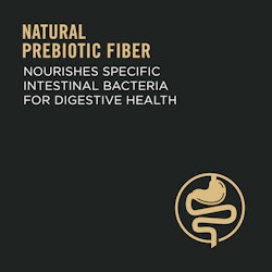 Natural prebiotic fiber