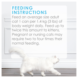 Feeding Recommendations