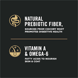 Prebiotics