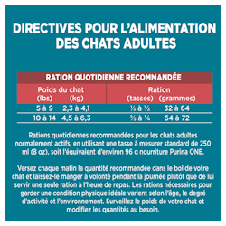 Directives Pour L'alimentation des chats adultes