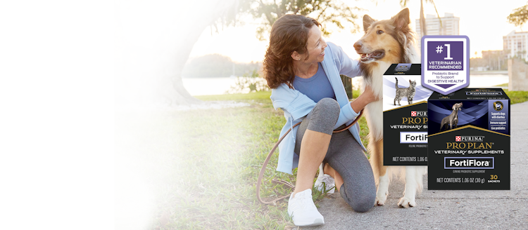 A woman petting a dog