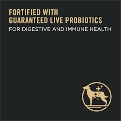 Live Probiotics