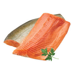 Arctic Char