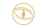 Vision Icon