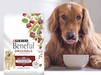 Beneful Joyful Rituals Dog Food Mealtime