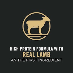 Real lamb as the first ingredient