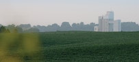 A field of grass with a Purina building in the background