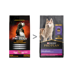 Pro Plan® SAVOR® Adult Lamb & Rice Formula Dry Dog Food