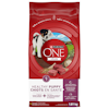 Purina® ONE® +Plus Healthy Puppy Food for Puppies Up to 1 Year 