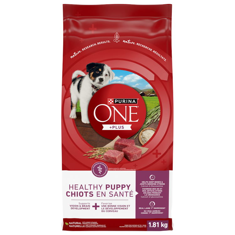 Purina® ONE® +Plus Healthy Puppy Food for Puppies Up to 1 Year 