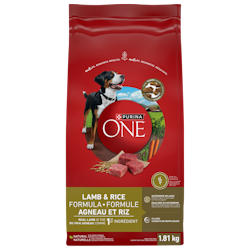 Nourriture sèche pour chiens Purinaᴹᴰ ONEᴹᴰ – Formule Agneau et riz