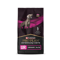 UR Urinary® Ox/St™ Dry Canine Formula