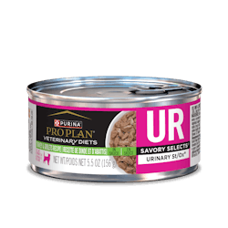 Formule féline en boîte UR Savory Selects Urinary🅫 St/Ox🅫 recette de dinde et d’abattis en sauce