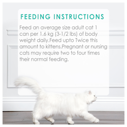 Feeding Recommendations