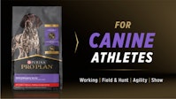 For canine athletes