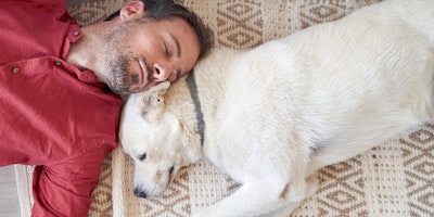 dog lying next to sleeping owner