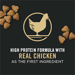 Real chicken as the first ingredient