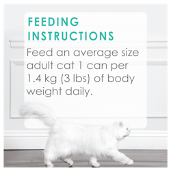 Feeding Instructions