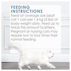 Feeding Recommendations