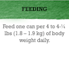 Feeding Recommendations