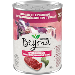 Beyond® Farm-Raised Beef & Spinach Recipe in Gravy Dog Food