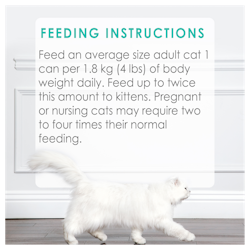 Feeding Recommendations