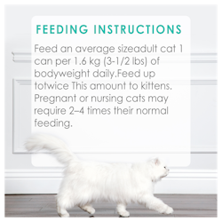 Feeding Recommendations