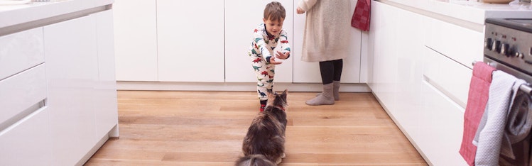 garçon en pyjama jouant avec un chat dans la cuisine