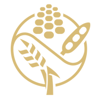 Corn Icon