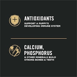 Antioxidants, calcium, phosphorus