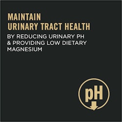 Maintain Urinary Health