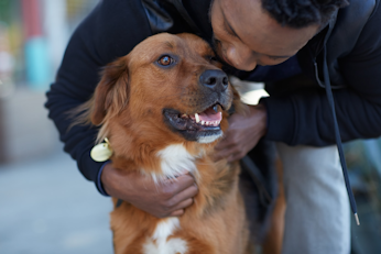 Man bending over to hug light brown dog