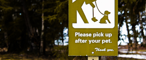 Please Pick Up After Your Pet sign