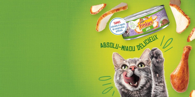 absolu-miaou delicieux