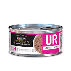 UR Urinary® St/Ox™ Canned Feline Formula