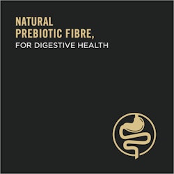 Natural Prebiotic Fibre