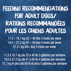 Feeding Recommendations For Adult Dogs