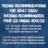 Feeding Recommendations For Adult Dogs