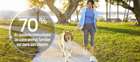 woman walking with dog