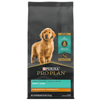 pro plan puppy food