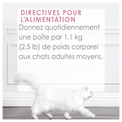 Directives Pour L'alimentation