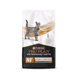 NF Kidney Function Advanced Care® Dry Feline Formula