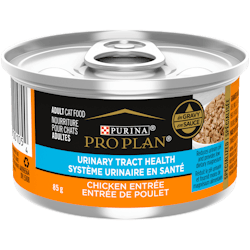 Pro Plan® Adult Urinary Tract Health Chicken Entrée in Gravy Wet Cat Food