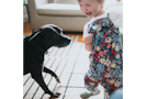 Child dancing with dog